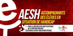 AED-AESH-CUI : compte-rendu de la CCP du 21 juin 2017