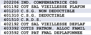 Indemnité compensatrice de la CSG : victoire pour les AESH