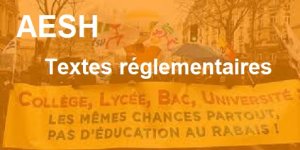 Tout savoir sur les AESH (ex AED-AVS) (Accompagnant d'Elève en (…)