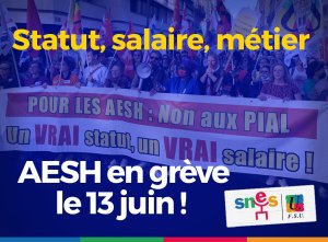 Le 13 juin, toutes et tous en grève pour les droits des AESH