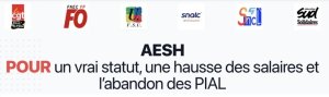 AESH : signez et partagez la pétition intersyndicale !