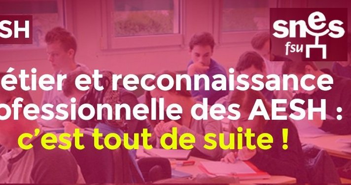 AESH : courriers SNES de rentrée sur les CDI et la (non) application de la (…)