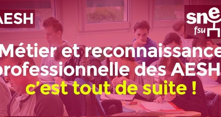 AESH : Mémo Snes-FSU / Carte électeur et Mobilisation du 05 avril