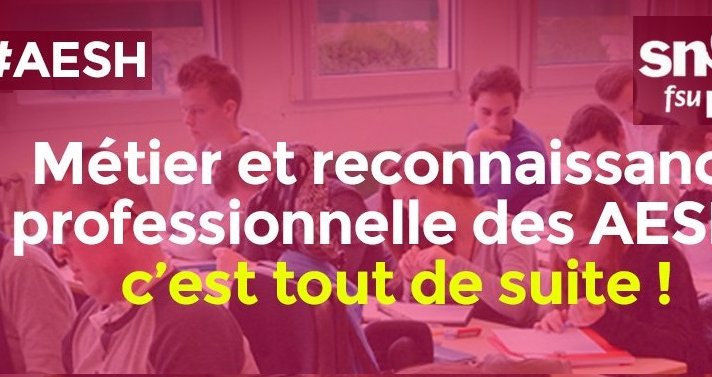 AESH : le SNES-FSU écrit au recteur pour exiger des réponses rapides à leur (…)