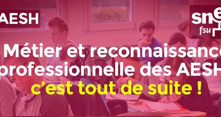 AESH : réunion d'information en visioconférence avec le SNES-FSU et le (…)