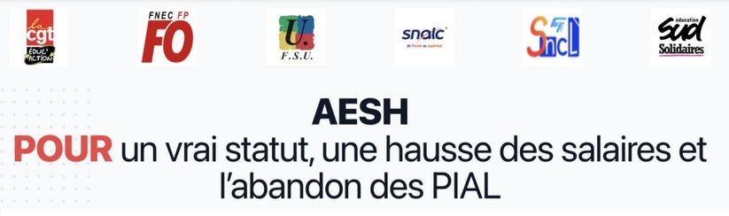 AESH : signez et partagez la pétition intersyndicale !