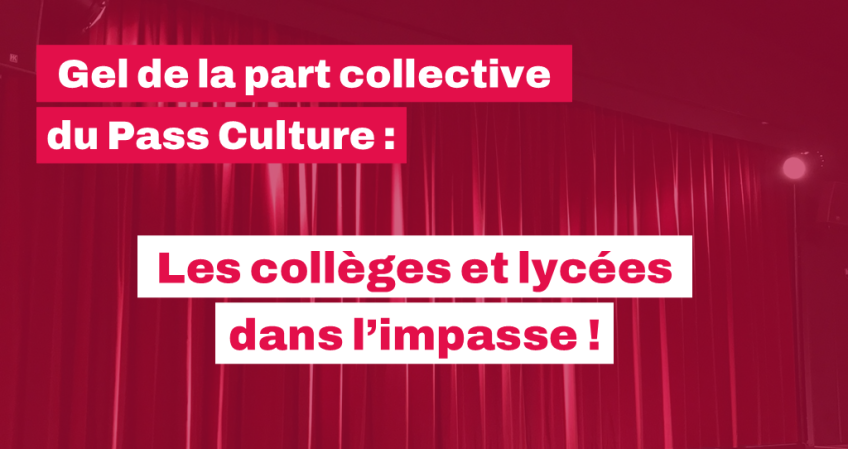 Pass culture : la culture sacrifiée !